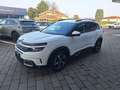 Citroen C5 Aircross 1.5 BlueHDi 130cv EAT8 SHINE Usato Garantito Weiß - thumbnail 3