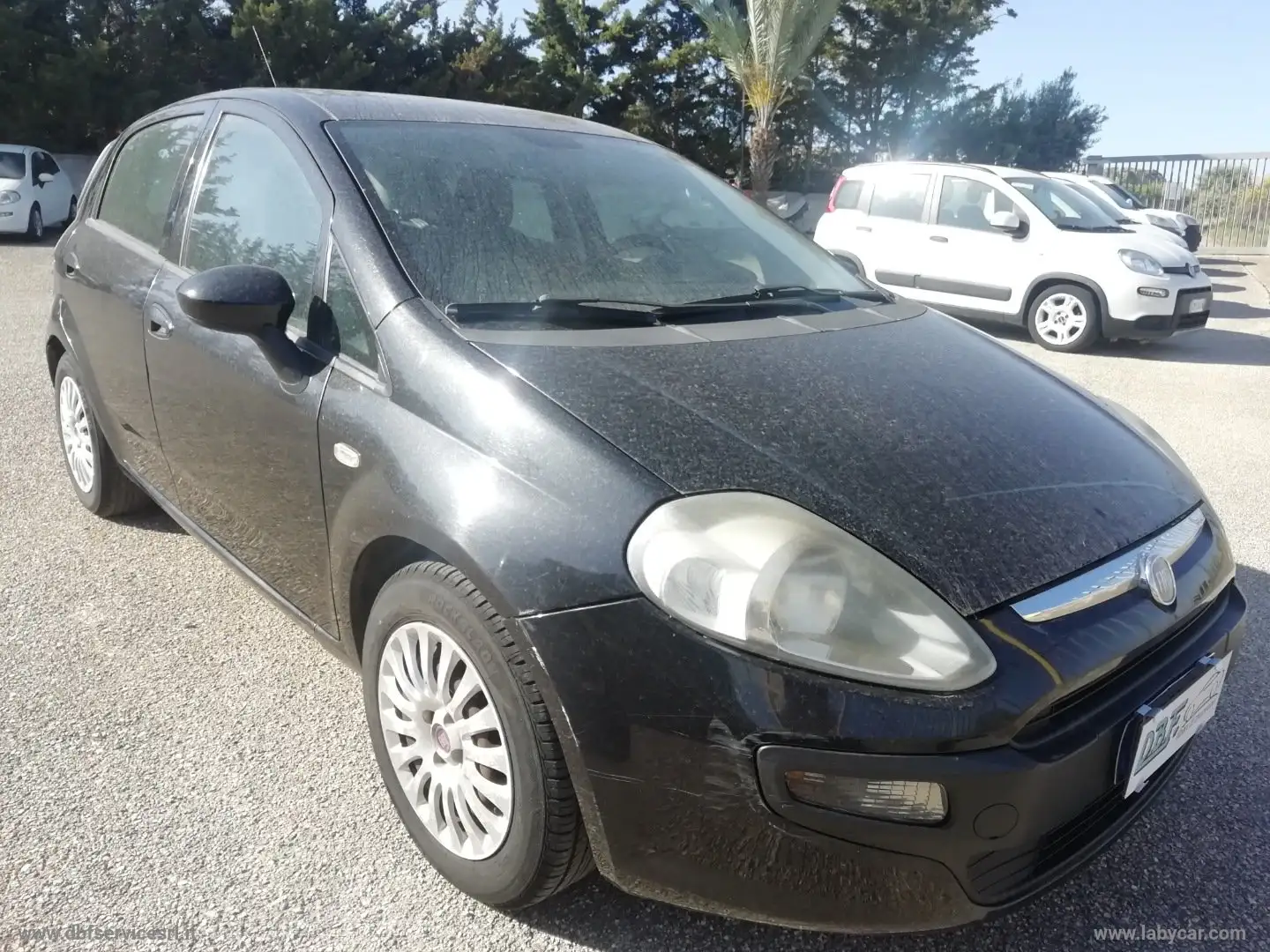 Fiat Punto Evo Punto Evo 5p 1.3 mjt Emotion s Noir - 2