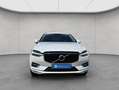 Volvo XC60 XC60 B5 D AWD Geartronic Inscription Pano LED Blanc - thumbnail 9