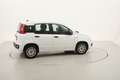 Fiat Panda Easy 1.3 Diesel 95CV Alb - thumbnail 6