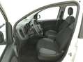 Fiat Panda Easy 1.3 Diesel 95CV Alb - thumbnail 10