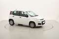 Fiat Panda Easy 1.3 Diesel 95CV Alb - thumbnail 7