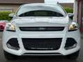 Ford Kuga Sync Edition KLIMA/PDC/S&S/TEMPOMAT/USB Wit - thumbnail 2