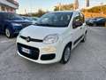 Fiat Panda 1.2 Easy 69cv E6 Bianco - thumbnail 1