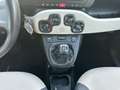 Fiat Panda 1.2 Easy 69cv E6 Bianco - thumbnail 12