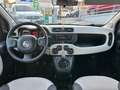 Fiat Panda 1.2 Easy 69cv E6 Bianco - thumbnail 8