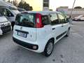 Fiat Panda 1.2 Easy 69cv E6 Bianco - thumbnail 5