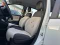 Fiat Panda 1.2 Easy 69cv E6 Bianco - thumbnail 13