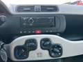 Fiat Panda 1.2 Easy 69cv E6 Bianco - thumbnail 11