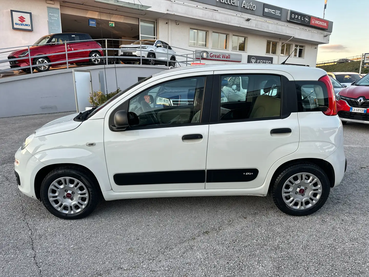 Fiat Panda 1.2 Easy 69cv E6 Bianco - 2