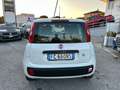 Fiat Panda 1.2 Easy 69cv E6 Bianco - thumbnail 4