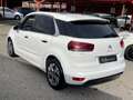 Citroen C4 Picasso 1.6 e-hdi Exclusive 115cv/strafull/unipro/rate/gar Wit - thumbnail 6