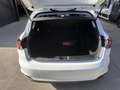 Fiat Tipo Tipo SW 1.6 MultiJet Mirror Bus. DCT S Blanc - thumbnail 19