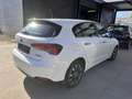 Fiat Tipo Tipo SW 1.6 MultiJet Mirror Bus. DCT S Blanc - thumbnail 4
