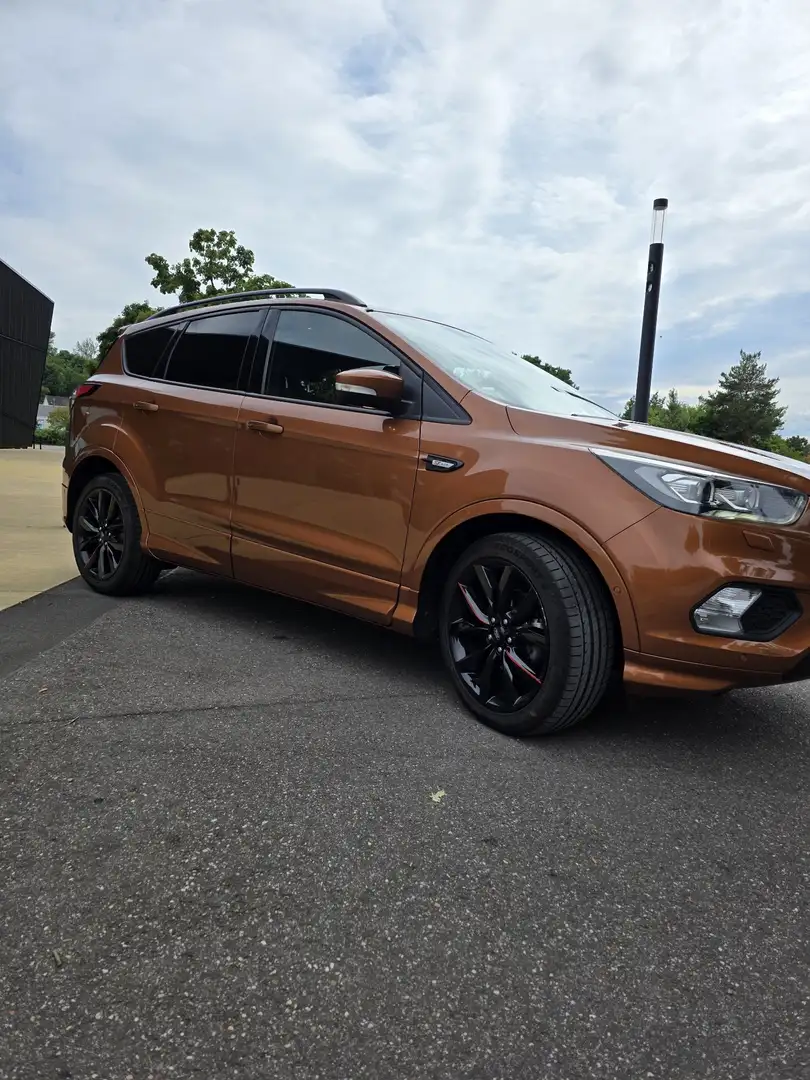 Ford Kuga 1.5 EcoBoost 2x4 ST-Line Braun - 2