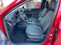 Ford Kuga 2.5 PHEV PlugIn-Hybrid VIGNALE |20Zoll|ACC| Rot - thumbnail 14