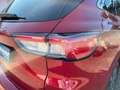Ford Kuga 2.5 PHEV PlugIn-Hybrid VIGNALE |20Zoll|ACC| Rot - thumbnail 12