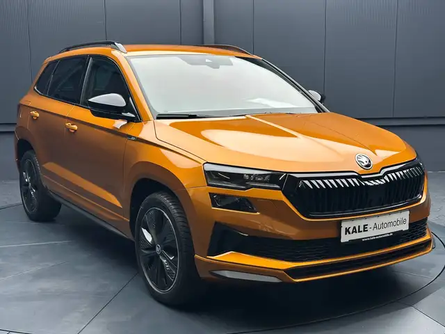 Skoda Karoq view 7
