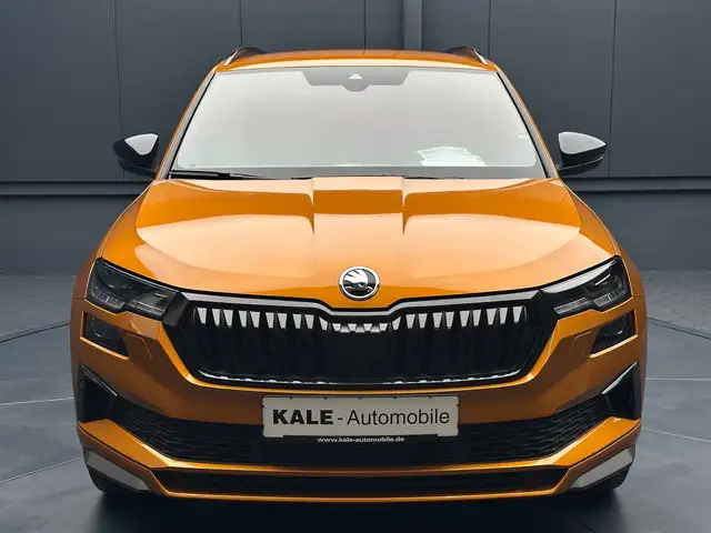Skoda Karoq view 8