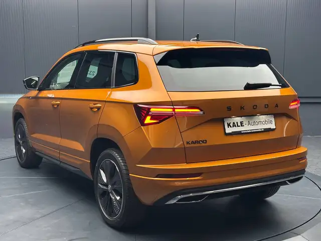 Skoda Karoq view 3