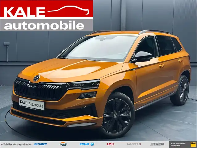 Skoda Karoq main image