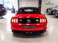 Ford Mustang Convertible 5.0 Ti-VCT GT Aut. Rojo - thumbnail 15