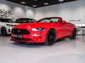 Ford Mustang Convertible 5.0 Ti-VCT GT Aut. Rojo - thumbnail 7