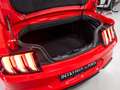 Ford Mustang Convertible 5.0 Ti-VCT GT Aut. Rojo - thumbnail 43