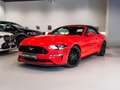 Ford Mustang Convertible 5.0 Ti-VCT GT Aut. Rojo - thumbnail 1