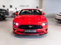 Ford Mustang Convertible 5.0 Ti-VCT GT Aut. Rojo - thumbnail 8