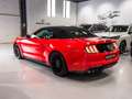 Ford Mustang Convertible 5.0 Ti-VCT GT Aut. Rojo - thumbnail 14