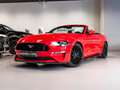 Ford Mustang Convertible 5.0 Ti-VCT GT Aut. Rojo - thumbnail 11