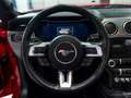 Ford Mustang Convertible 5.0 Ti-VCT GT Aut. Rojo - thumbnail 24
