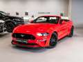 Ford Mustang Convertible 5.0 Ti-VCT GT Aut. Rojo - thumbnail 10