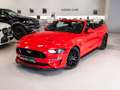 Ford Mustang Convertible 5.0 Ti-VCT GT Aut. Rojo - thumbnail 12