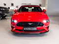 Ford Mustang Convertible 5.0 Ti-VCT GT Aut. Rojo - thumbnail 2