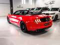 Ford Mustang Convertible 5.0 Ti-VCT GT Aut. Rojo - thumbnail 4
