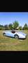 Jaguar JAGUAR XK 120 1953 certificata (gare) - thumbnail 3