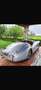 Jaguar JAGUAR XK 120 1953 certificata (gare) - thumbnail 10