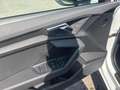 Audi A3 Sportback Audi A3 Sportback Business Edition S line 30 TDI 85(116) kW(ch) S tronic Weiß - thumbnail 13