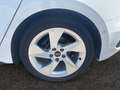 Audi A3 Sportback Audi A3 Sportback Business Edition S line 30 TDI 85(116) kW(ch) S tronic Weiß - thumbnail 19
