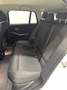 BMW 320 Serie 3 320d Touring S.W. mhev 48V auto Weiß - thumbnail 14