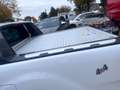 Ford Ranger 4x4 LED*AHK*NAVI*Offroad-Paket*Heckrollo Weiß - thumbnail 15