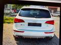 Audi SQ5 3.0 TDI competition quattro Weiß - thumbnail 5
