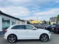 Audi SQ5 3.0 TDI competition quattro Weiß - thumbnail 9
