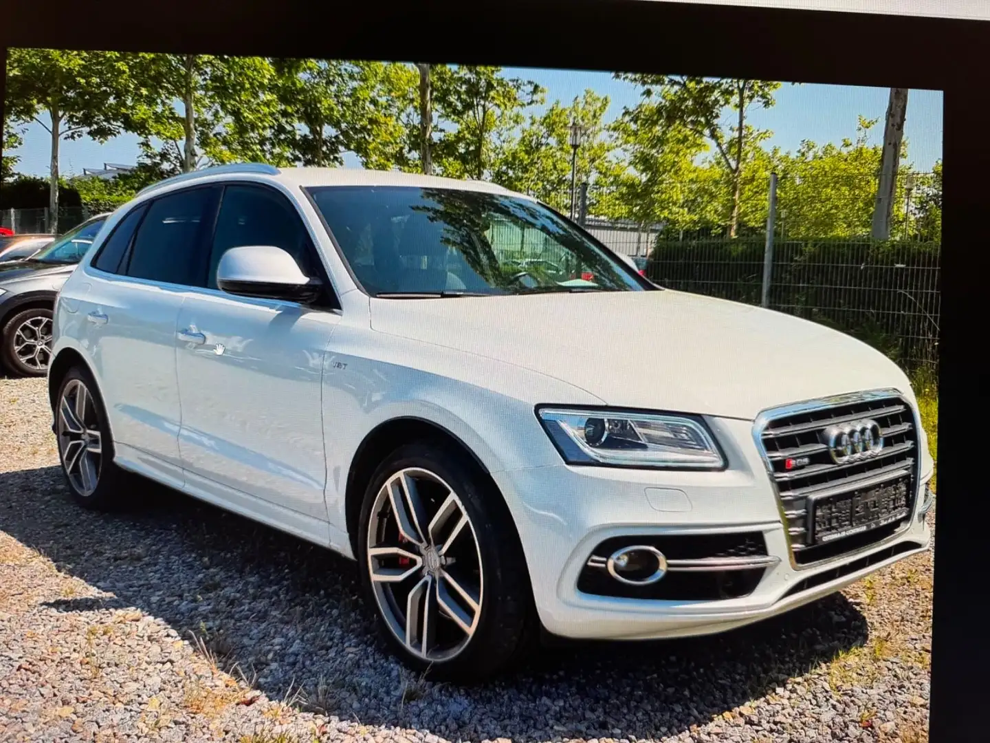 Audi SQ5 3.0 TDI competition quattro Weiß - 1