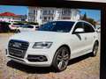 Audi SQ5 3.0 TDI competition quattro Weiß - thumbnail 2