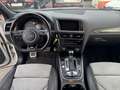 Audi SQ5 3.0 TDI competition quattro Weiß - thumbnail 22