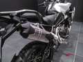 Triumph Tiger Explorer RALLY EXPLORER Plateado - thumbnail 12