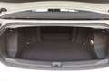 Volkswagen T-Roc Cabrio 1.5 TSI DSG R-Line ACC Kamera AHK Weiß - thumbnail 19